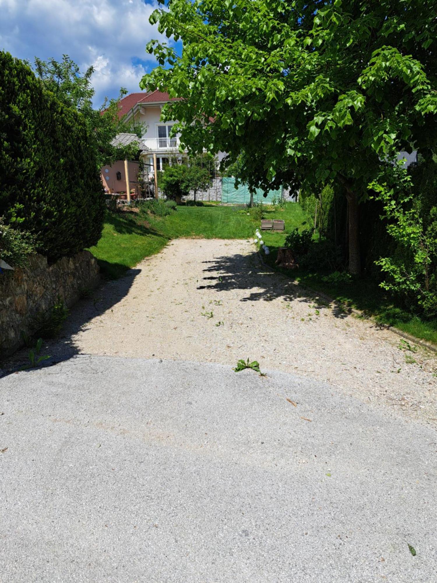Ferienwohnung Apartmaji Magda Zgornje Gorje Exterior foto