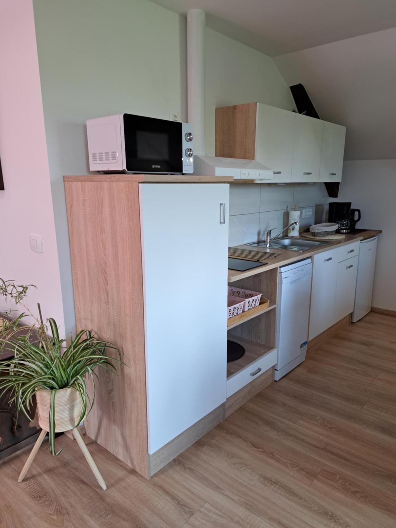 Ferienwohnung Apartmaji Magda Zgornje Gorje Exterior foto