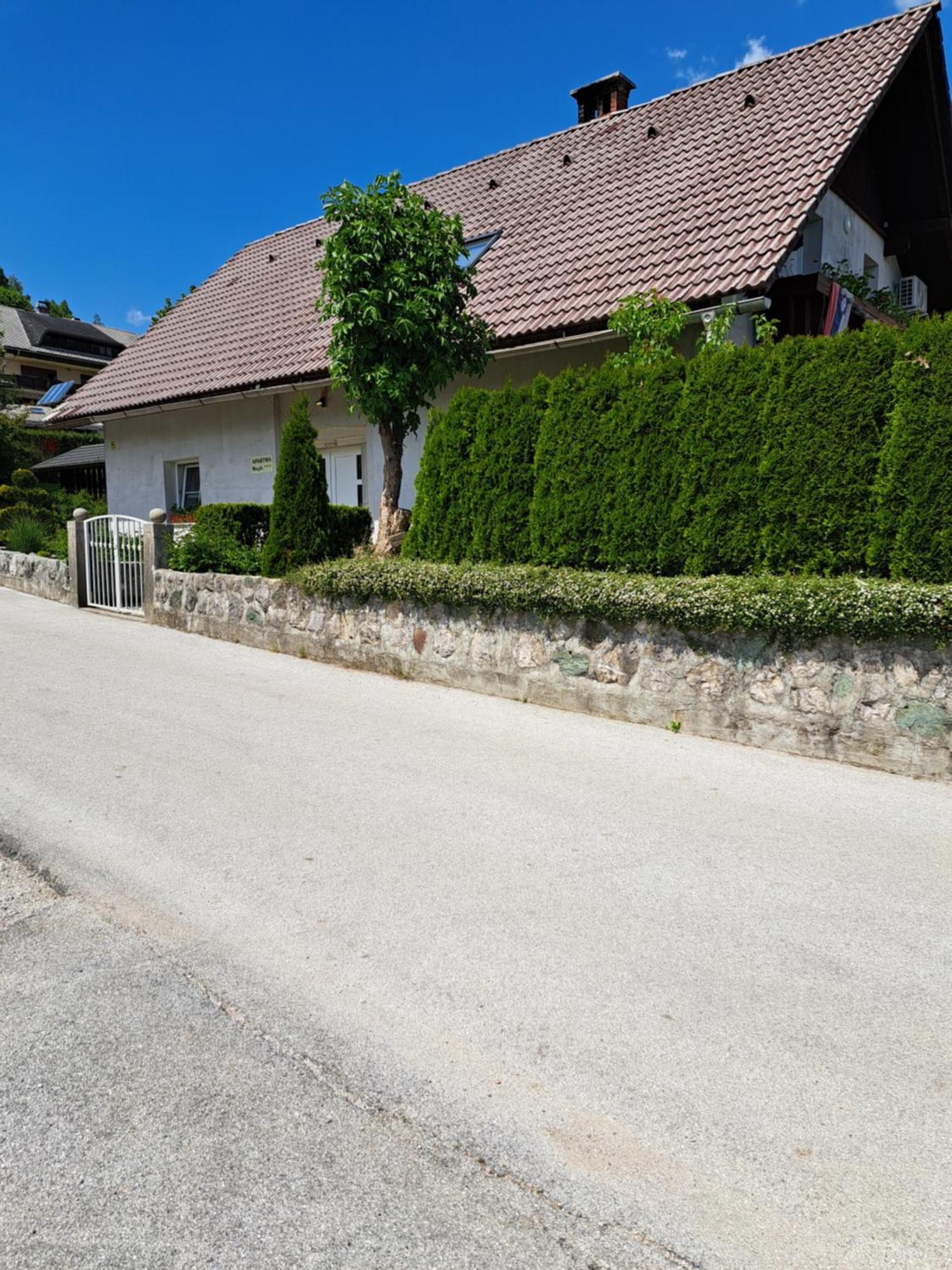 Ferienwohnung Apartmaji Magda Zgornje Gorje Exterior foto